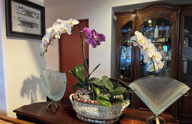 Tide Pool Villas - Photo 2