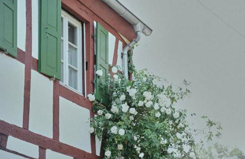 Ferienhaus Wagner - Photo 6