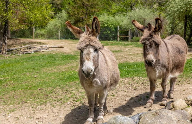 Modern Farm Home 2hr NYC BOS Peaceful Wifi - Foto 27