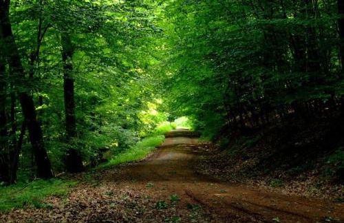 Ferienhäuser Bellana - Foto 11