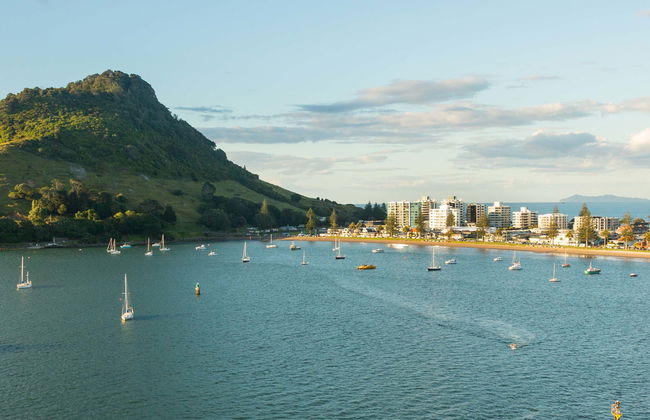 Paseo en barco por Tauranga - Foto 6