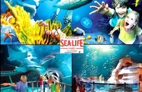 MaisonTevy - Appart & Studio pro-tourisme - Foto 43