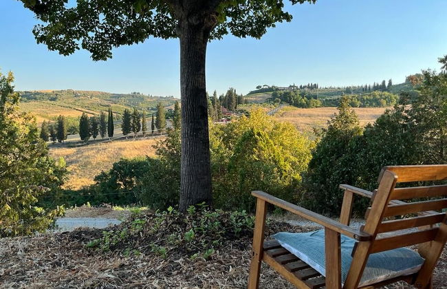 Gatto Bianco Tizzauli - Foto 32