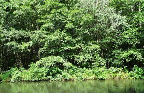 Holiday Home Haus Victoria by Interhome - Foto 19