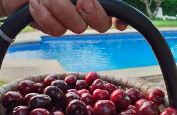 Complejo Rural Las Palomas - Foto 55