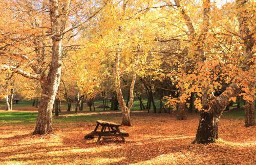 Casa do Bóco - Foto 5