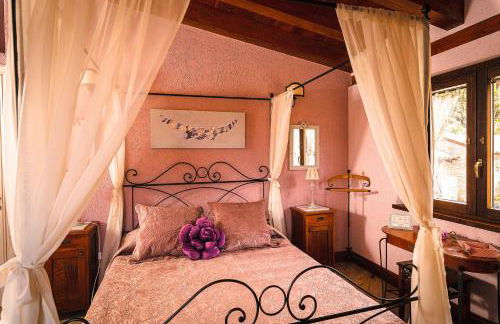 Garden Cactus - Foto 79