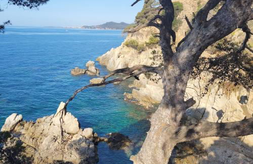 Delante del Mar - Foto 6