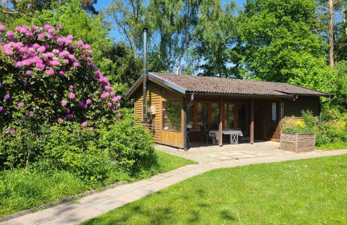 Ferienhaus Voigt - Foto 1