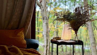 Rogaty Domek przy Bobrowisku - Foto 5