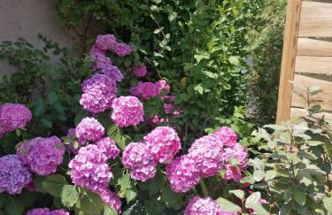 Le Garni Vendémiaire - Foto 12