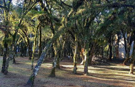 Fantástico Flat no Laje de Pedra Mountain Village - Foto 39