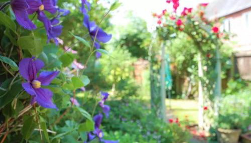 Honeysuckle Cottage- East Meon - Foto 3