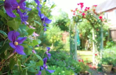 Honeysuckle Cottage- East Meon - Foto 3