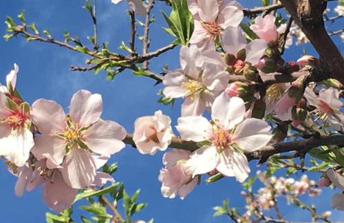 Apartment BEACH & RELAX - Photo 50