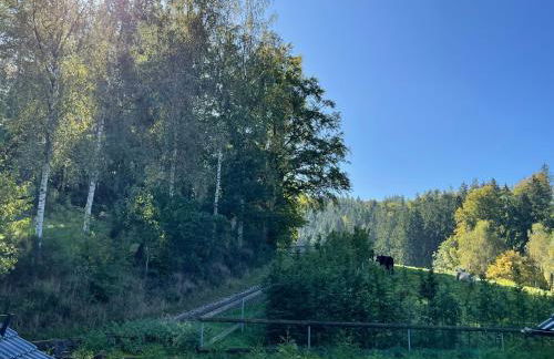 Apartment im Wald - mit Schwimmbad! - Foto 49