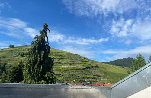 Ferienwohnung Baden-Baden Neuweier - Foto 1