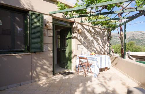 Vasilikata - Foto 31