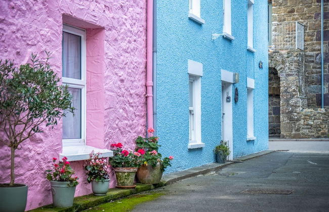 Caleb's Cottage - 4 Bed Cottage - Solva - Foto 66