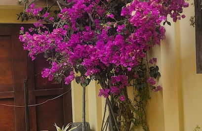 Huanchaco Departamentos - Foto 24