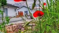 Ferienhaus sonnenWIND am Hainer See - Foto 3