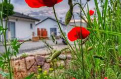 Ferienhaus sonnenWIND am Hainer See - Foto 3