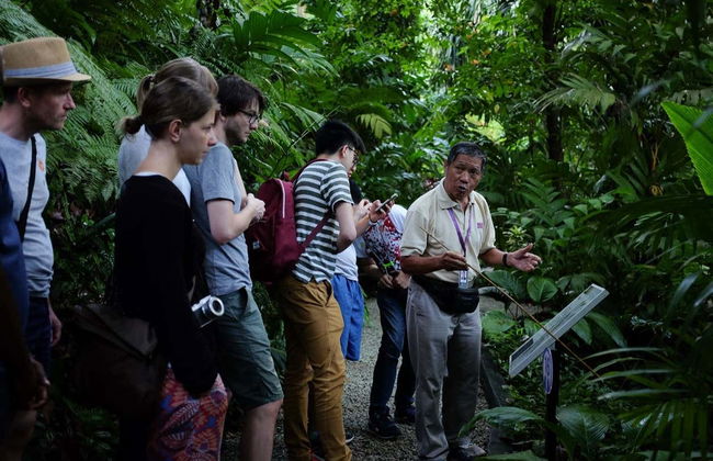Entrada al Jardín de Especias Tropicales - Foto 5