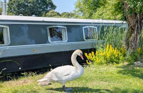 Sandpiper - Salterns - Chichester Marina - Foto 15