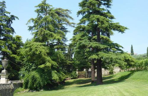 Calicantus, Verona, Pool, Wifi - Photo 24