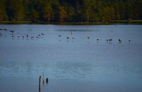 Toledo Queen Lakefront Custom 4 BR Home, Boathouse - Foto 25