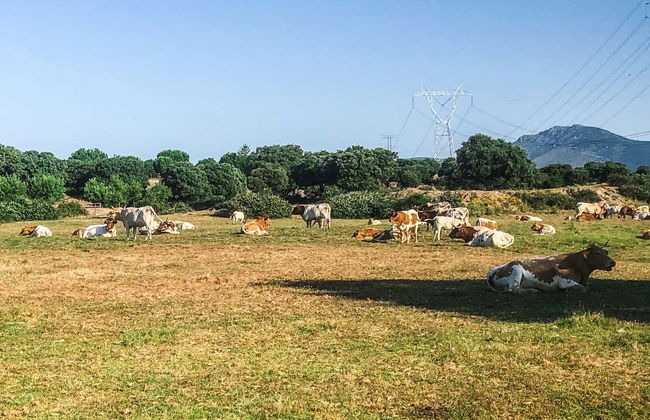 Tour in Alpedrete - Foto 8