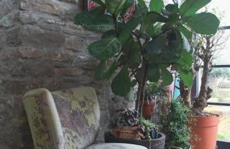 Bohemian Luxury House - Beautiful View - 10min to Bath - Foto 26