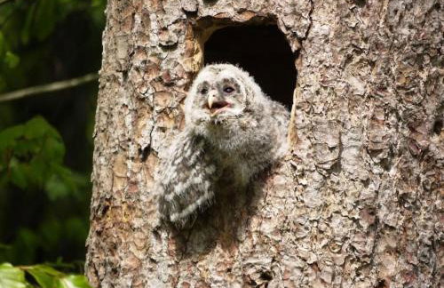 Apartment, 2 bedrooms, kitchen+2 bathrooms - Photo 36