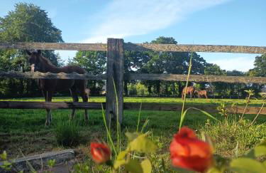 Maison de charme - Foto 16