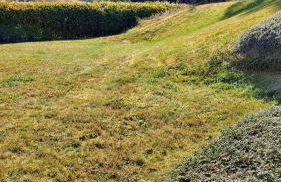 Ferienwohnung Wilmes - Photo 14