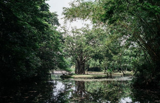 Boutique 87 - Photo 21