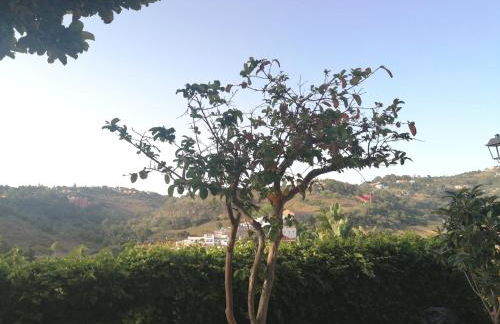 Sweet Dreams - Foto 27