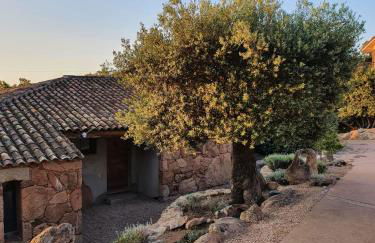 Gianni Location Palombaggia - Foto 7