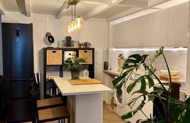 Duplex in Heart of Paris - Foto 8