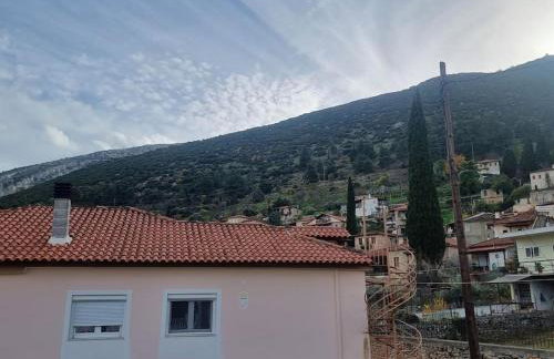 Βίλα Ελιά Παραδοσιάκο σπίτι στην Αμφίκλεια - Foto 28