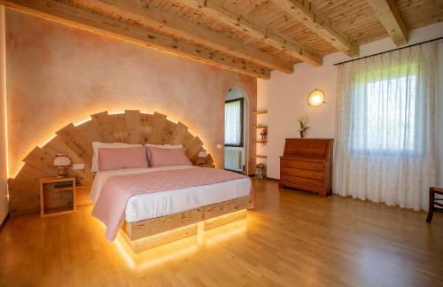 GATTO IN VIGNA - Foto 20