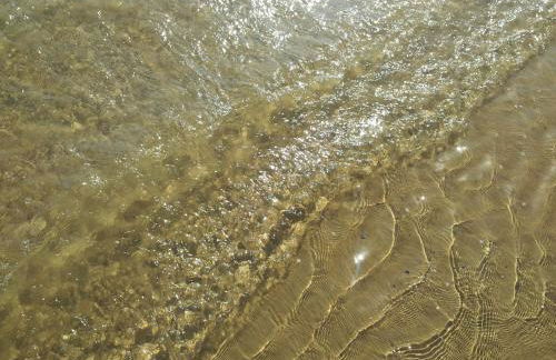 Mono Rosburgo 1 - Foto 24