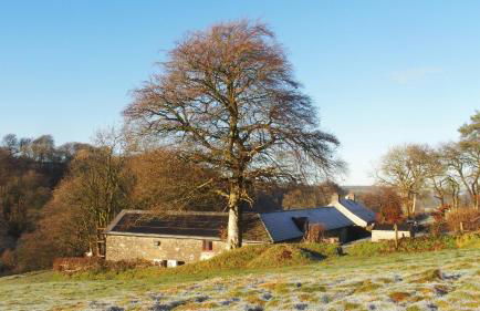 Cambrian Cottages - Charming Countryside Barn - Photo 123