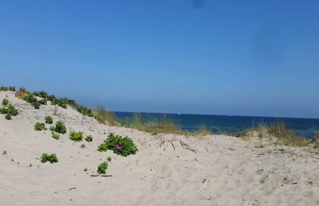 4 Star Holiday Home in Frederiksvaerk - Foto 37