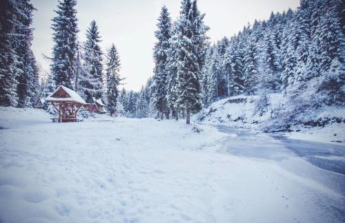 Ośrodek Nad Potokiem - Foto 19