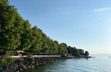 La Pistacherie à 30m de la plage de Grande Rive - Foto 19