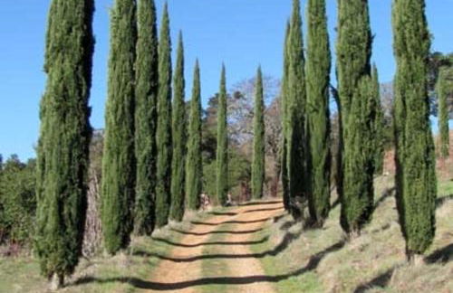 Vacation Rental with Spa and Pool on Winery near Healdsburg, California - Foto 17