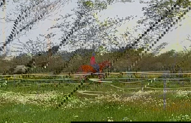 Cascina Moretta - Foto 26