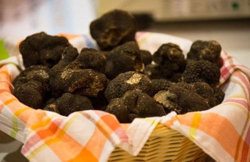 La Marie-Louise - Foto 17