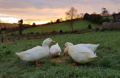 HOBLEY House Holiday - Foto 26